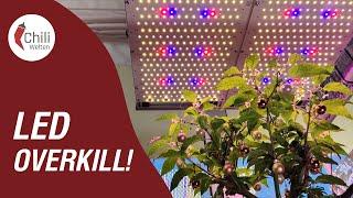 Ich habe mir meine Traum-Lampe gebaut - LED-Tech 326 XT TW3 LED Grow Light