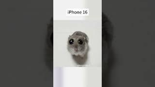 Cosa ne pensate della fotocamera del nuovissimo iphone16? 