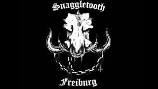 Snaggletooth Freiburg Motörhead Tribute "Stay clean" PROMO