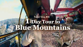 1-Day Tour in the Blue Mountains; Scenic World and Wildlife Park 