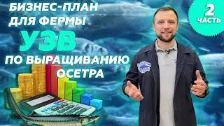 Бизнес план для УЗВ на ОСЕТРА | Осетровая ФЕРМА УЗВ как БИЗНЕС Часть 2 | Какой бизнес открыть