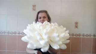 БЕСПЛАТНЫЙ МК. Ростовая Хризантема (гофрированная бумага)/ Free master class.Big paper flower/