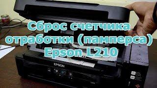 Как сбросить счетчик памперса МФУ Epson L210