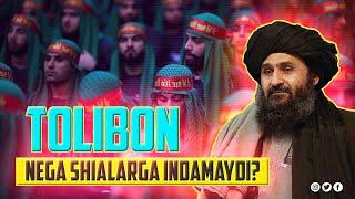 Tolibon nega shialarga indamaydi? | Ustoz Abdulloh Zufar