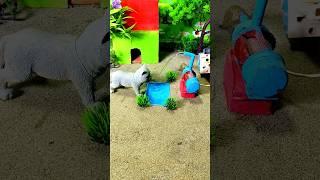 mini tractor mini cow mini water pump #shorts #shortsfeed