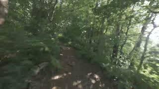 Changing Seasons at Nunsmere Hall Cheshire - By Fpv drone
