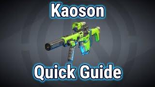 Kaoson | Quick Guide | Borderlands 3