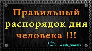 Правильный распорядок дня взрослого человека по часам. Здоровый образ жизни.