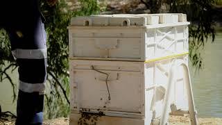 Nuplas Apiarist Supplies - Innovation in Beekeeping