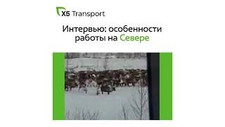 Работа на Севере: видео водителя Армана.