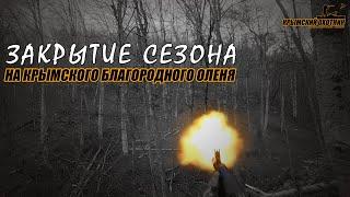 Закрытие сезона охоты 2021-2022 на копытных в Крыму. Сайга-308-1 исп. 61 в деле