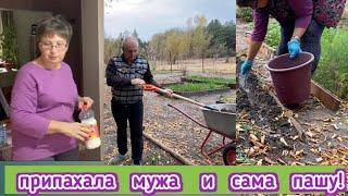 Припахала мужа на огороде, сама сажаю чеснок и доделываю клумбы! накормила мужа оладушками