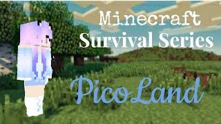 Minecraft PicoLand #1