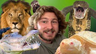 Feeding ALL MY ANIMALS!
