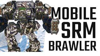 A perfect Mech for Burst Damage - Linebacker SRM Build - Mechwarrior Online The Daily Dose 1604