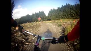 ferrets Bikepark Wales