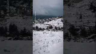 Snow in Jerusalem Israel  #snow #israel #снег #израиль