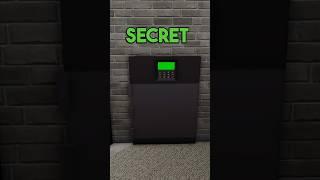 MOST SECRET SAFE in BROOKHAVEN!