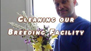 How We Clean Our Breeding Facility | Goldendoodle & Bernedoodles Puppies | Silver Creek Doodles