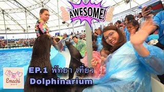 EP.1 Emachifamily@พัทยา แวะดูซีล ที่ Dolphinarium