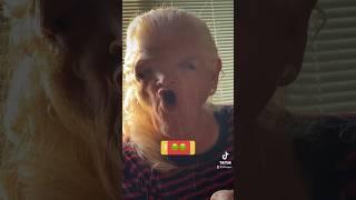 I think the phone was stuck lol #funny #comedy #humor #lilihayes
