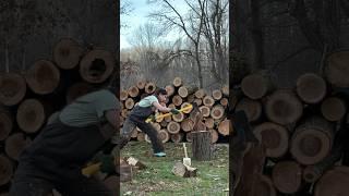 Can she chop? #woodchopping #wife #choppingwood #shortwife #homestead #diy #cuttingdowntrees