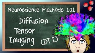 Diffusion Tensor Imaging (DTI) Explained! | Neuroscience Methods 101