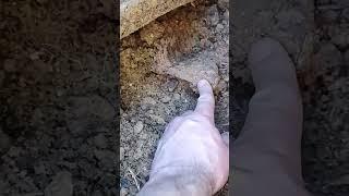 #коп Бывает и такое