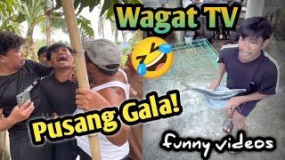 Si Smokoy pala ang Salarin / Wagat TV funny videos @WagatTv