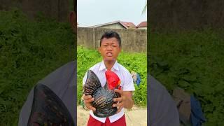 Celengan ayam jago kak Ardi dipecahin sama alifba dasar adik durhaka #ardipetto #komedi #funny