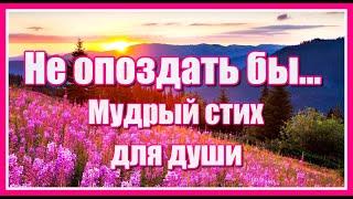 "Не опоздать бы..." Мудрый стих для души Ларисы Гапеевой и очень красивая мелодия Евгения Полянского