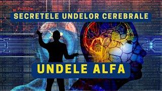 Secretele undelor cerebrale - Undele ALFA