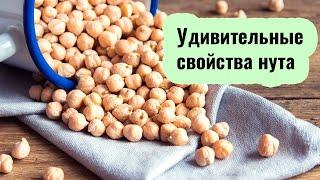 Польза и вред нута для здоровья. Научные факты. Способы приготовления нута.