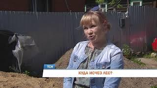 КУДА ИСЧЕЗ ЛЕС?