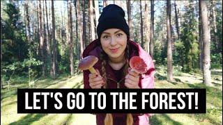 MUSHROOM TOUR | Lets go to Lithuania's forest