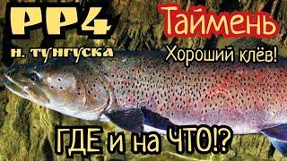 РР4. Отличная точка на Тайменя на реке Нижняя Тунгуска! Шанс на Трофей!