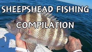 ULTIMATE Sheepshead fishing Compilation **** 2 hours of NONSTOP Catching Action