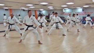 Insight Part 2:  Training at the Harrow School of Shotokan Karate.(HD)