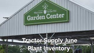 Tractor Supply June Plant Inventory. Shrubs and Trees.