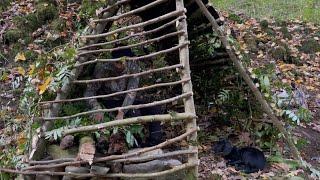 A trip to dangerous areas of the forest and building a shelter suitable for the fall season