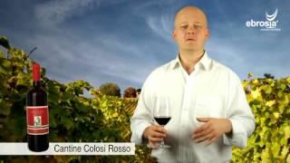 Wein Verkostung: Cantine Colosi Rosso IGT 2011 - ebrosia Wein Shop