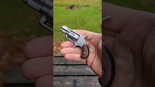 North American Arms Mini NAA 22LR