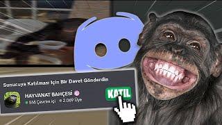 Welcome to the Discord Zoo