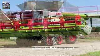 Wheat Harvesters are REVOLUTIONIZING Agriculture!