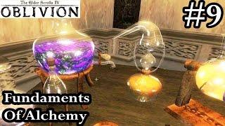 Elder Scrolls IV Oblivion Walkthrough Let's Play Part 9 - Fundaments Of Alchemy