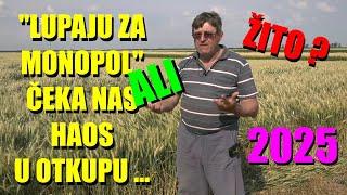 LOŠE VESTI  ZA RATARE ! SITUACIJA sve gora - što SE TIČE PŠENICE - pred žetvu - ŠOK  - OTKUP ...