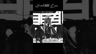 He’s definitely my favorite #horse #equestrian # smart little Lena #cutting #rip # Hanes chatman