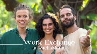 About the Work Exchange Program