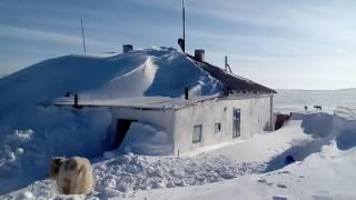 ШҚО Семей Кайнар таскын кауіпі бар коктемде