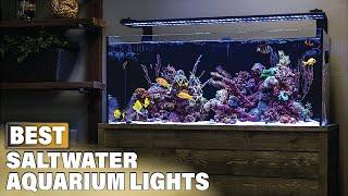 Top 10 Best Saltwater Aquarium Light (2024)